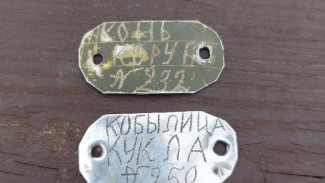 В Керчи нашли таблички лошадей, погибших в Великой Отечественной войне