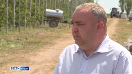 В Крыму могут ввести режим ЧС из-за заморозков