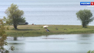 Сколько продержится знойная погода в Крыму