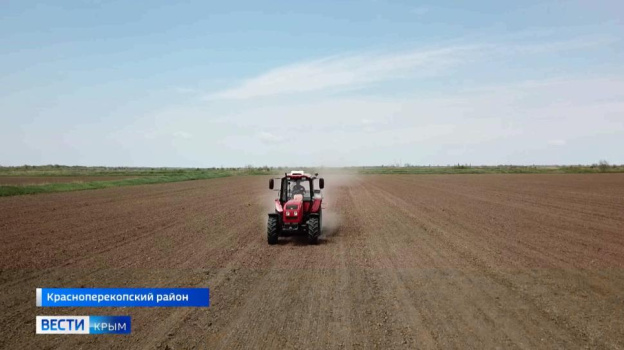 Сев риса в Крыму возобновился спустя 8 лет
