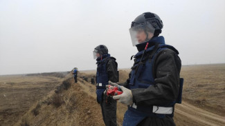 Севастопольские спасатели МЧС занимаются разминированием территории Донбасса 