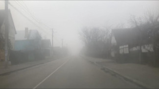 Туман, местами снег: погода в Крыму и Севастополе на 25 января