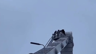 С опоры Крымского моста эвакуировали человека