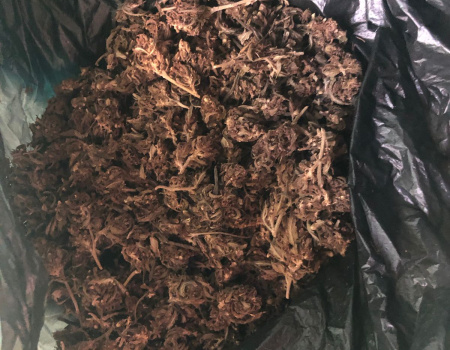 Более 600 граммов конопли нашли в сарае у крымчанина