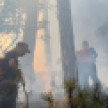 Пожару в районе Аутка в Ялте присвоили статус природной ЧС регионального характера