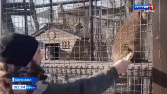 Крымский огурец вместо банана выбирают обезьяны в бахчисарайском зоопарке