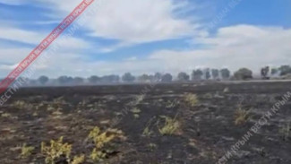 Кадры с места ландшафтного пожара в Симферопольском районе