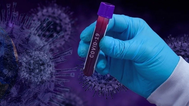 В Крыму зарегистрировано 146 новых случаев коронавируса