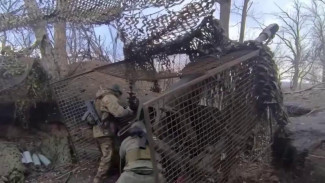 ВС РФ уничтожили до отделения пехоты ВСУ в опорном пункте в Запорожской области