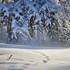 В Симферополе выпало более 15 сантиметров снега