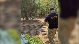 Крымчанина осудили на 11 лет за незаконный оборот наркотиков