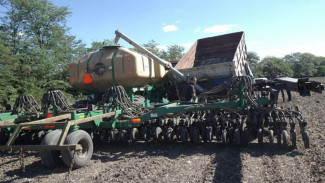 В Крыму стартовал сев рапса