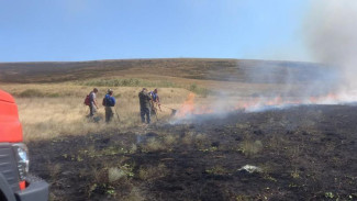 Пять возгораний сухой растительности потушили в Крыму за выходной день