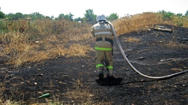 В Новофёдоровке горят гектары камыша