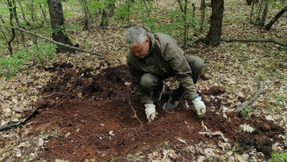 Севастопольские поисковики нашли останки советского солдата