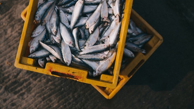 В Крыму растут цены на живую рыбу