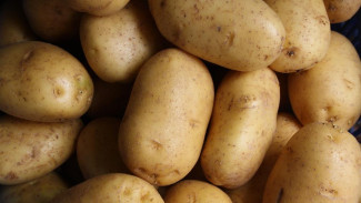 Как выбрать качественный картофель в Крыму: совет Роспотребнадзора