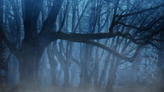  В горах Ялты спасли мужчину с травмой ноги