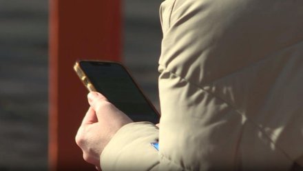 Федеральный закон, направленный на борьбу с мошенничеством в интернете, вступил в силу с 1 июня