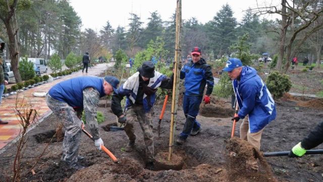 Константинов посадил в Крыму «дерево жизни»