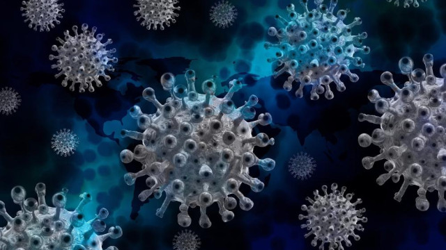 В Крыму выявлено ещё 512 случаев коронавируса