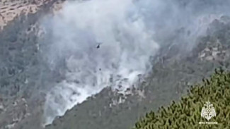 Пожар под Ялтой локализовали на площади 2 Га