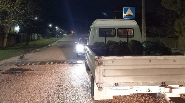У пьяного водителя грузовика под Севастополем нашли оружие 