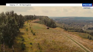 На российские экраны вышел приключенческий фильм «Волчок»