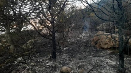 В Алуште передали в суд уголовное дело о пожаре, уничтожившем лесные насаждения в районе горы Кастель