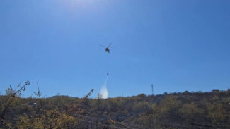 Ландшафтный пожар в Крыму локализовали на 12 гектарах