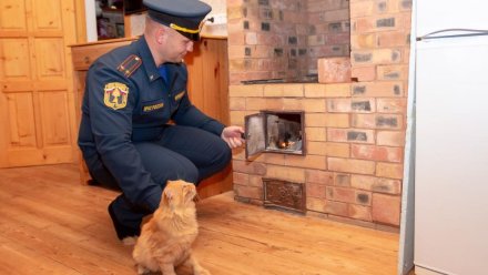 За 2025 год в Крыму на пожарах погибло 59 человек