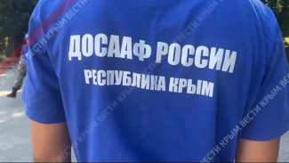  В Симферополе стартовали учебно-полевые сборы для детей от 10 до 17 лет