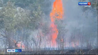В Крыму сегодня ликвидировали сразу несколько масштабных возгораний