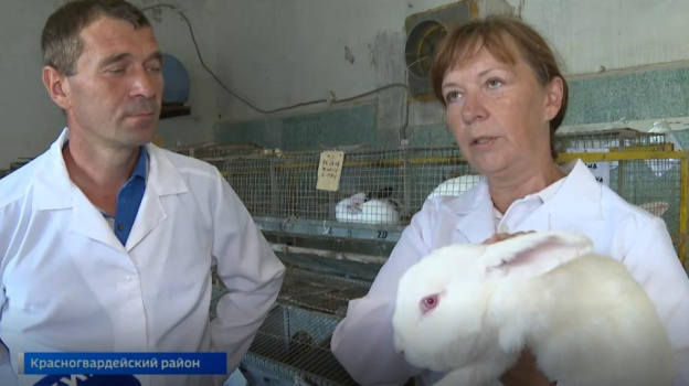 Крымские селекционеры-заводчики вывели новую породу кроликов