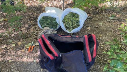 В Советском районе задержали двух крымчан с сумкой наркотиков