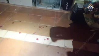 В Симферополе мужчина убил своего 12-летнего племянника и ранил его 6-летнего брата и их мать: возбуждено уголовное дело