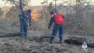 В МЧС показали кадры тушения лесного пожара вблизи Орджоникидзе 