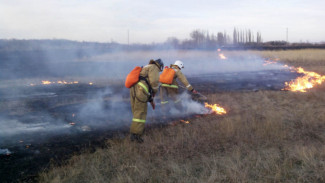 В Севастополе загорелось 500 квадратных метров травы
