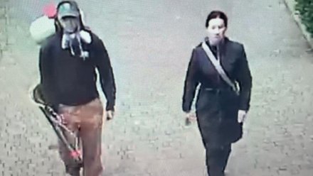 Информация о попытке неизвестными испортить саженцы в Алуште оказалась недостоверной