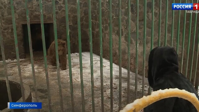 Ряд крупнейших зоопарков в Крыму приостановили работу