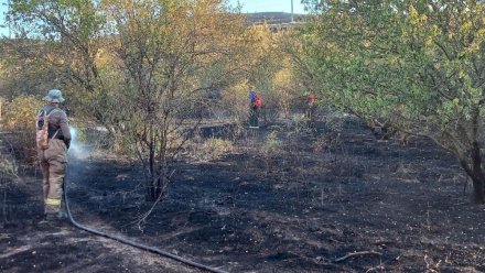 Ландшафтный пожар в Феодосии локализовали на 56 Га