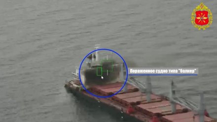 В Чёрном море и порту «Черноморск» российские военные поразили четыре сухогруза и балкер 