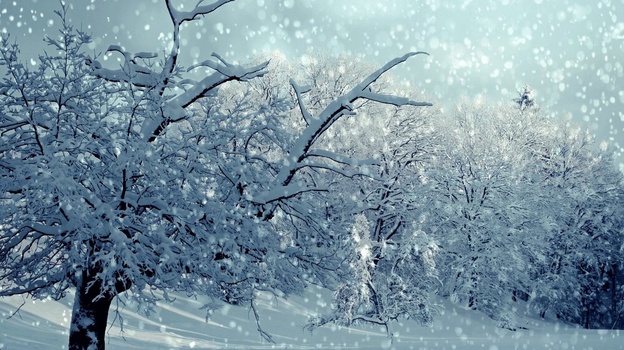 В Крыму объявили штормовое предупреждение из-за сильного снега