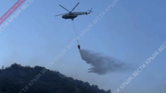 Техника для тушения пожара в поселке Лазурное под Алуштой