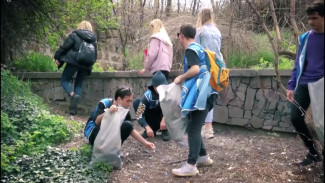 17 сентября в Крыму пройдет масштабный субботник