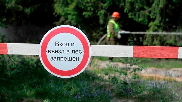 В Крыму на 21 день продлили запрет на посещение лесов