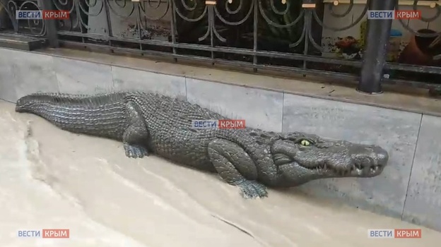В Ялте полностью затопило крокодиляриум