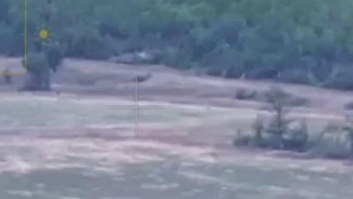 Операторы FPV-дронов сорвали ротацию ВСУ на Ореховском направлении в Запорожской области