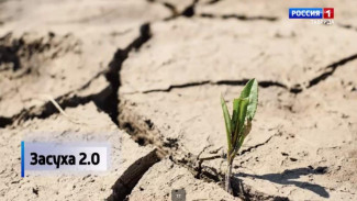 В Крыму зафиксирована сильнейшая за последние полвека засуха