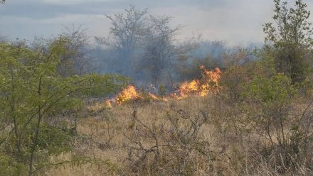 В Советском районе горела сухая трава 